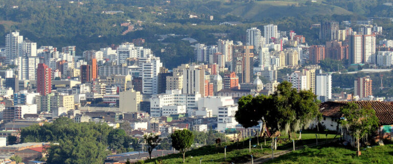 Pereira Avacol